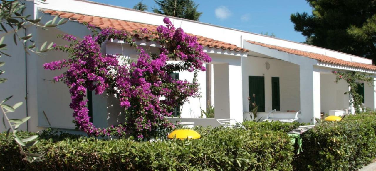 Villaggio Turistico Residence Delfino فيستَ المظهر الخارجي الصورة